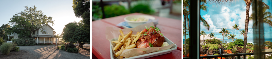 Vineyard_Farmhouse_Lobster_Roll_Hawaiian_View